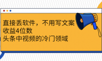 无需写文案的头条中视频冷门领域，日4位数！