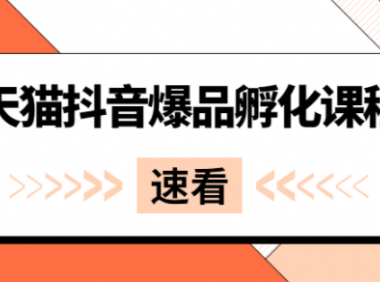 《天猫抖音爆品孵化课程》(免费福利课程)