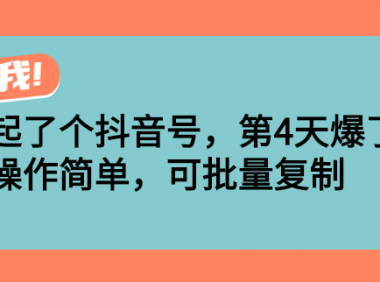 抖音快速起号小课程，简单易涨粉，可批量操作