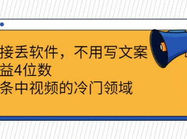 无需写文案的头条中视频冷门领域，日4位数！