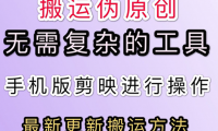 （2516-3）五月最新的抖音快手搬运技术，无需特殊工具，小白亦可做【免费分享】