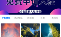 （2530-2）抖音无需搭建小程序的壁纸号项目，长期被动项目