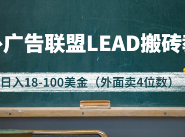 国外广告联盟LEAD搬砖,日20-30刀(项目教程+软件)