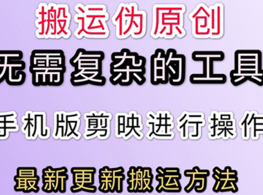 （2516-3）五月最新的抖音快手搬运技术，无需特殊工具，小白亦可做【免费分享】