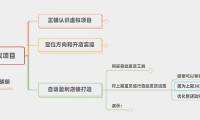 (2611-4)新手如何操盘虚拟项目?从0到月入上万技术