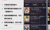 （2609-3）通过各大平台，每天精准引流100的方法