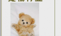 (2614-2)数千亿规模的冷门实业,宠物殡葬服务