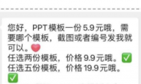 (2622-3)PPT虚拟店铺项目,简单而易复制