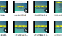 (2623-1)京东类目解析大全,贝千电商店群