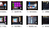 (2625-1)手机零基础制作夫妻搞笑动画教程