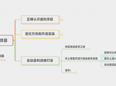 (2611-4)新手如何操盘虚拟项目?从0到月入上万技术