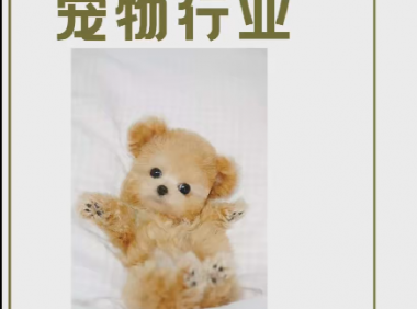 (2614-2)数千亿规模的冷门实业,宠物殡葬服务