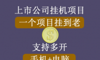 (2727-1)睿思挂机项目,支持手机电脑一起挂,支持虚拟机多开