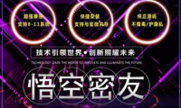 （2730-4）悟空密友微信辅助，多功能绿色版