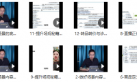 （2709-2）风清扬大春《直播带货运营实操课》，班级账号诊断课价值3980元