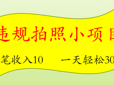 （2713-2）违规拍照项目，单笔收益10，轻松日300