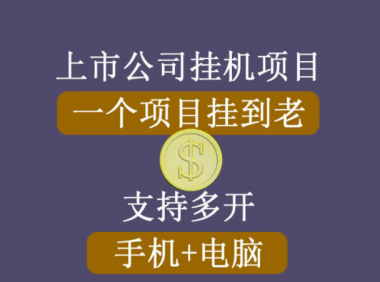 (2727-1)睿思挂机项目,支持手机电脑一起挂,支持虚拟机多开