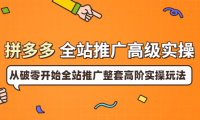 (2050)拼多多全站推广高级实操:从破零开始全站推广整套高阶实操玩法(价值199)