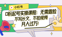 (2065)小红书0粉起号实操课程:无需露脸,不写长文,不拍视频月入过万!