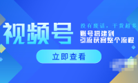 （2074）视频号新手必学课：账号搭建到引流获客整个流程，没有废话，干货超多