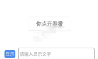 （2080）隐藏文字图制作工具 点开与直接查看显示的内容不同