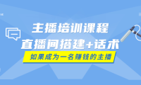 （2082）主播培训课程：直播间搭建+话术，如何快速成为一名赚钱的主播