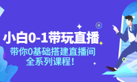 （2084）小白0-1带玩玩直播：带你0基础搭建直播间，全系列课程