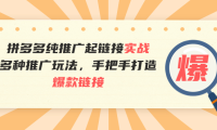 (2130)拼多多纯推广起链接实战:多种推广玩法,手把手打造爆款链接