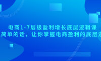 (2808-3)大圣:电商1-7层级盈利增长底层逻辑课(线上视频课),用简单的话,让你掌握电商盈利的底层逻辑
