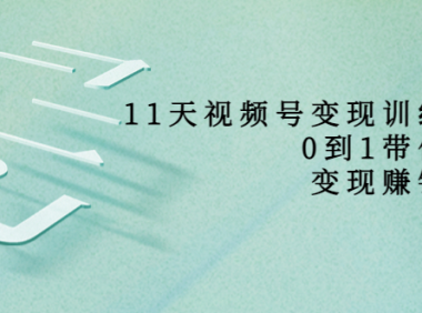 （2034）好望角·11天视频号变现训练营，从0到1打造变现赚钱系统（价值398）