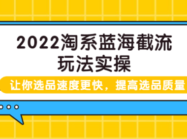 (2040)2022淘系蓝海截流玩法实操:让你选品速度更快,提高选品质量(价值599)