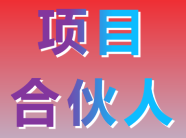 项目合伙人计划