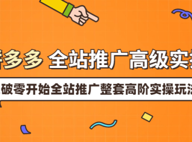 (2050)拼多多全站推广高级实操:从破零开始全站推广整套高阶实操玩法(价值199)