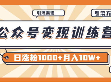 （2057）【某公众号变现营第二期】0成本日涨粉1000+让你月赚10W+（8月24号更新）
