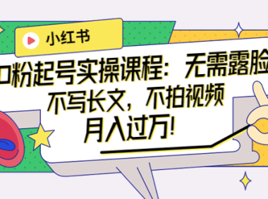 (2065)小红书0粉起号实操课程:无需露脸,不写长文,不拍视频月入过万!