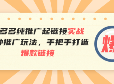 (2130)拼多多纯推广起链接实战:多种推广玩法,手把手打造爆款链接