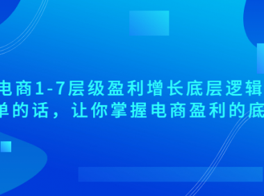 (2808-3)大圣:电商1-7层级盈利增长底层逻辑课(线上视频课),用简单的话,让你掌握电商盈利的底层逻辑