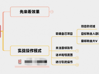 (2801-1)玩转知识付费项目引流,给你1套落地方案!