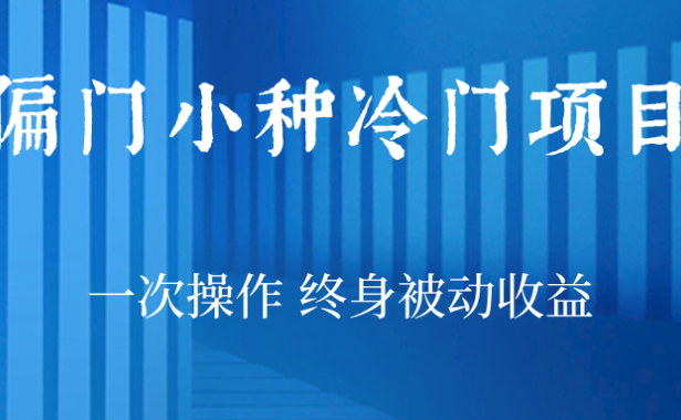 （2112）偏门小种冷门项目，一次操作 终身被动收益