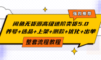 (2160)闲鱼无货源高级进阶卖货5.0,养号+选品+上架+测款+优化+出单整套流程教程