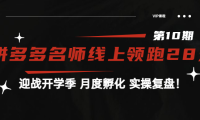 (2163)《拼多多名师线上领跑28天-第10期》迎战开学季 月度孵化 实操复盘!