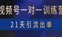 （2177）视频号训练营：带货，涨粉，直播，游戏，四大变现新方向，21天引流出单