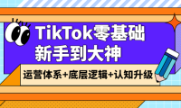 （2179）TikTok零基础新手到大神：运营体系+底层逻辑+认知升级（9节系列课）