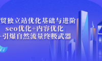 （2181）外贸独立站优化基础与进阶，seo优化+内容优化+引爆自然流量终极武器