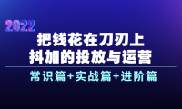 （2197）把钱花在刀刃上，抖加的投放与运营：常识篇+实战篇+进阶篇（28节课）
