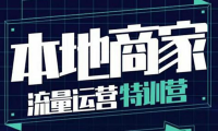 （2226）本地商家流量运营特训营，四大板块30节，本地实体商家必看课程