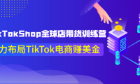 （2244）TikTokShop全球店带货训练营【更新9月份】助力布局TikTok电商赚美金！