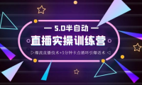 （2253）蚂蚁·5.0半自动直播2345打法，半自动爆流直播技术+5分钟卡点循环引爆话术