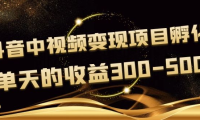 (2284)黄岛主《抖音中视频变现项目孵化》单天的收益300-500 操作简单粗暴