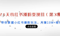 (2285)21天小红书涨粉变现营(第3期):带你掌握小红书爆款玩法,月赚10W+秘密